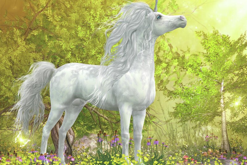 UnicornDelight88: The Magical Journey of a Unique Experience